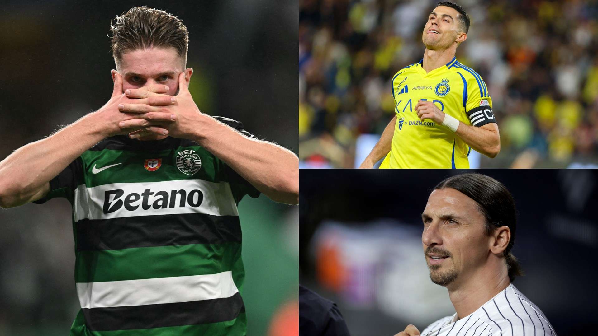 也能感受到 也能感受到